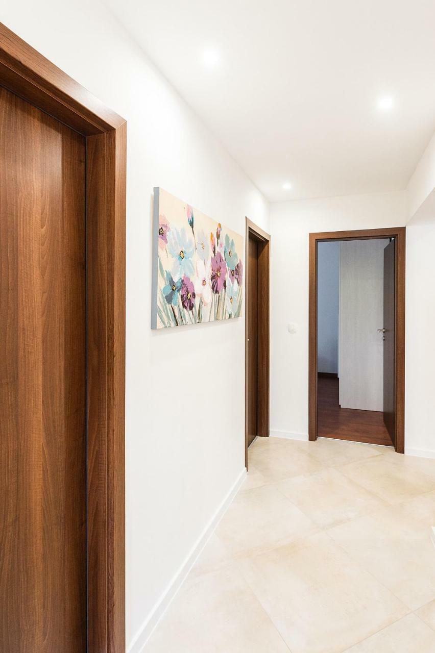 Apartment Auretta Novigrad Istria Exteriér fotografie
